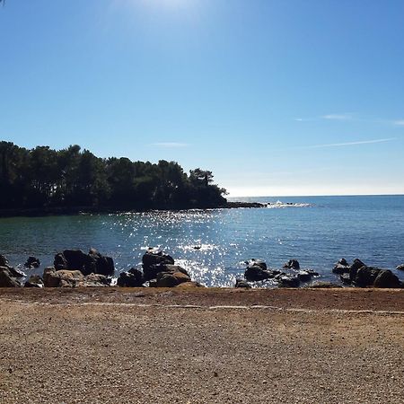 Apartment Finn Rovinj Dış mekan fotoğraf
